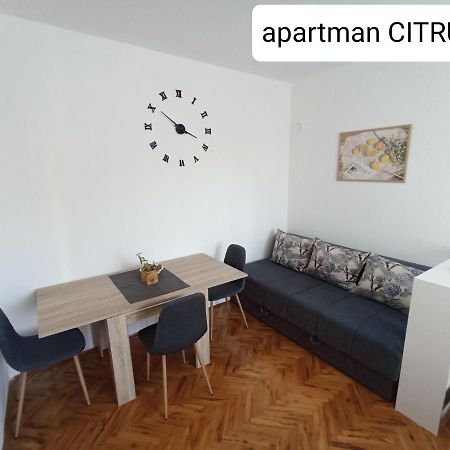 Apartman "Citrus" 特雷比涅 外观 照片