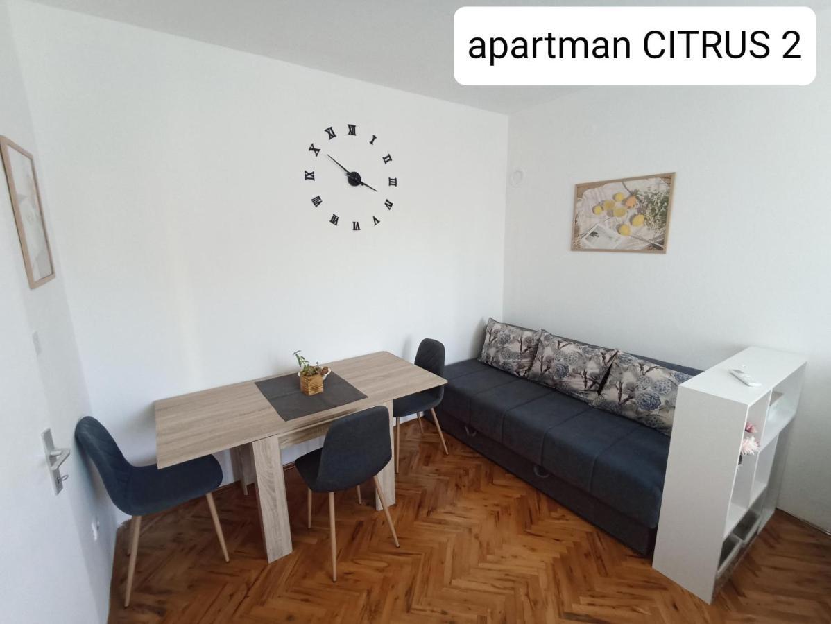 Apartman "Citrus" 特雷比涅 外观 照片